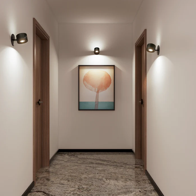 AURA SPOT PRO
